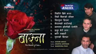 Popular Album BASNA|Hit Adhunik Songs Jukebox| Sagarmatha Digital