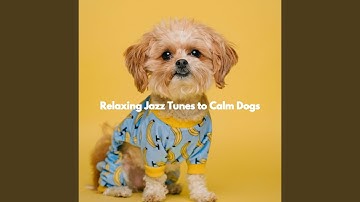 Pulsating Backdrops for Cinematic Darkness