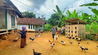 Download Lagu SUASANA SORE YANG TENANG, SEBELUM TURUN HUJAN DI KAMPUNG NAMBAH BETAH, PEDESAAN SUNDA JAWA BARAT MP3 Download Lagu SUASANA SORE YANG TENANG, SEBELUM TURUN HUJAN DI KAMPUNG NAMBAH BETAH, PEDESAAN SUNDA JAWA BARAT MP3