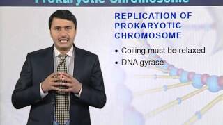 BIO301_Topic041