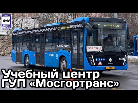 Video: Деңизге автобус турларын кантип тандаса болот