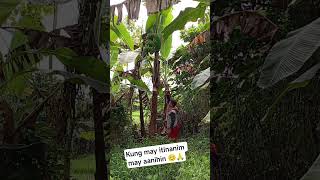 Buhay probinsya Thanks God for the blessings 😇😇