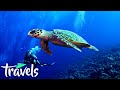 Top 10 Scuba Diving Destinations