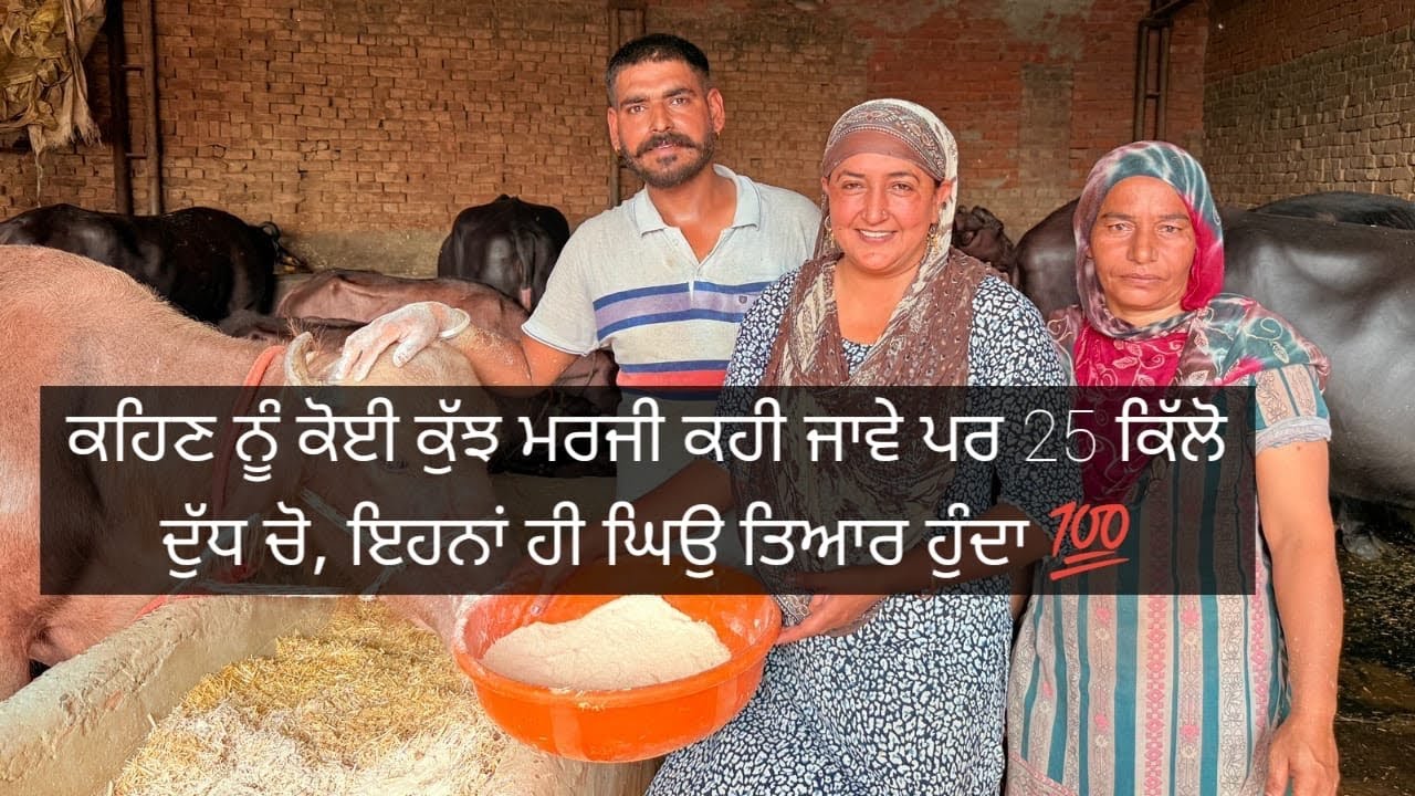 ਸੁਣੋ ਪੂਰੀ ਗੱਲ ਕਿੰਨੇ ਦੁੱਧ ਚੋ,ਕਿੰਨਾ ਘਿਉ ਨਿੱਕਲਦਾ | Dhaliwal Gurleen |