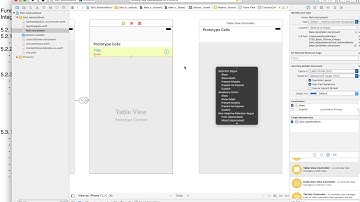 Basic iPhone - Swift 3: Module 5 - Address Book - Iteration 5 -  Contact Details 5/8
