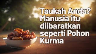 [FAIDAH SINGKAT] Taukah Anda? Manusia itu diibaratkan dgn Pohon Kurma - Ustadz Abu Ubaidah As-Sidawi