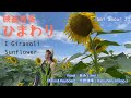 映画音楽『ひまわり』あみ