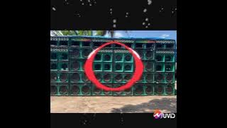 SOLIDÃO SLY FOX MUSICA LIMPA 2021