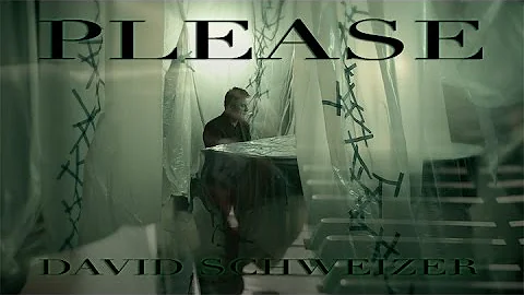 Music Video - "Please" by David Schweizer