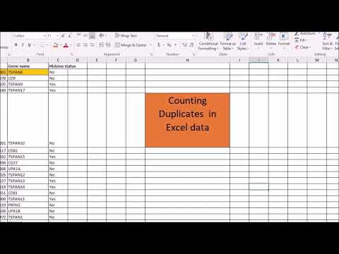 Counting duplicates in excel