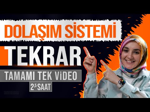 6) Dolaşım Sistemi FULL TEKRAR | 11. Sınıf Biyoloji | AYT Biyoloji Konu Anlatımı 6