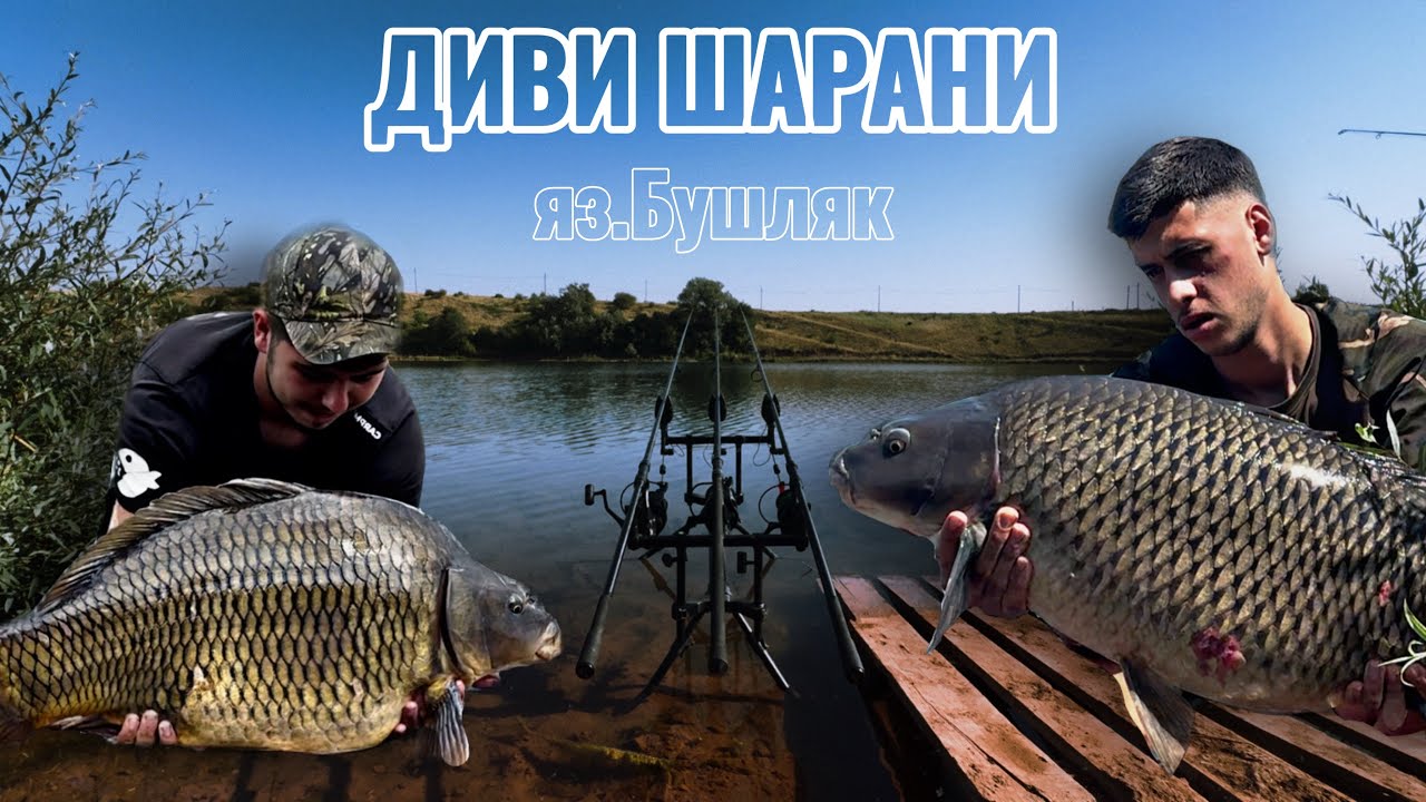 В търсене на дивите шарани на яз.Бушляк
