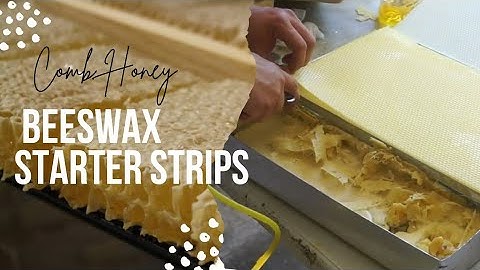 Beeswax Starter Strips 101 🌟 Comb Honey - Candle Making - Queen production 🌟