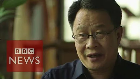 'China has laws, but no rule of law' says Mo Shaoping - BBC News - DayDayNews