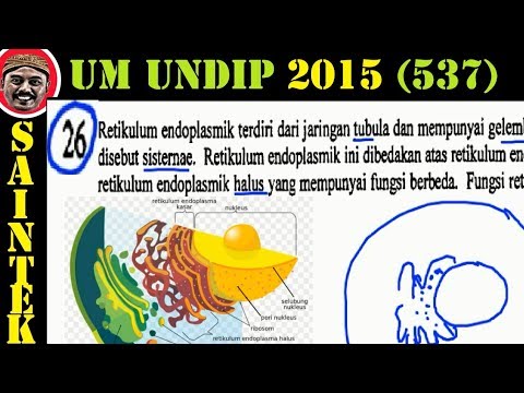 Video: Berapakah penutup konkrit minimum dalam mm pelempar di tempat konkrit yang diletakkan dan terkena bumi secara kekal?