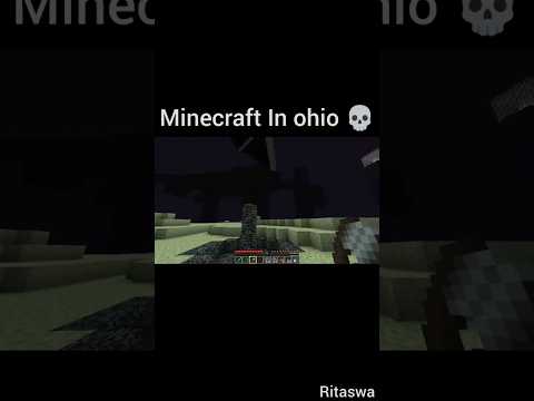 Can't even play Minecraft in Ohio💀(Part-3) #shorts #minecraft #ohio