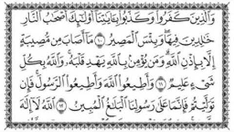 سورة التغابن مكتوبة كاملة بصوت القارئ سعد الغامدي بجودة عالية