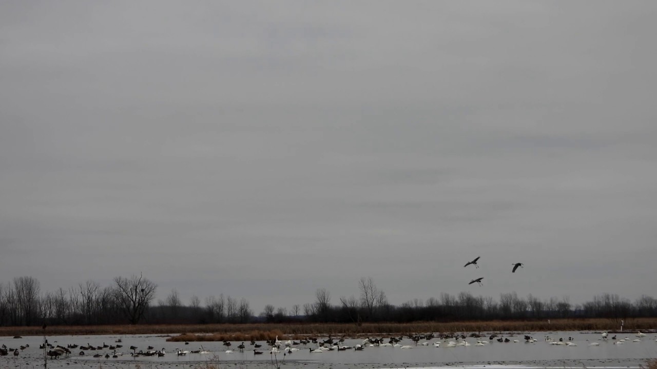 Killdeer Plains Wildlife Area YouTube