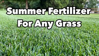 Summer Fertilizer That's Safe For Any Lawn