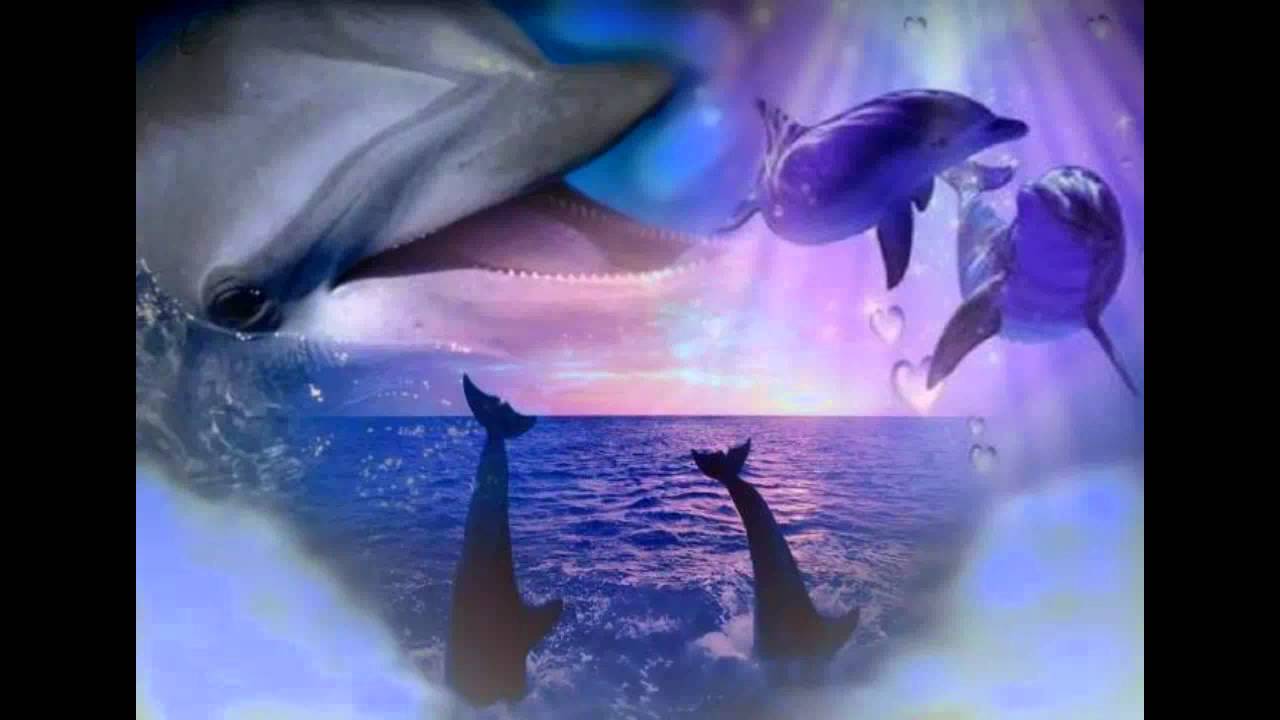 Dolphins and Angels.mov - YouTube