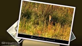 nature-photography / 3620ronny.be     (  slideshow photo's )