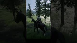 When riding a horse in rdr 2