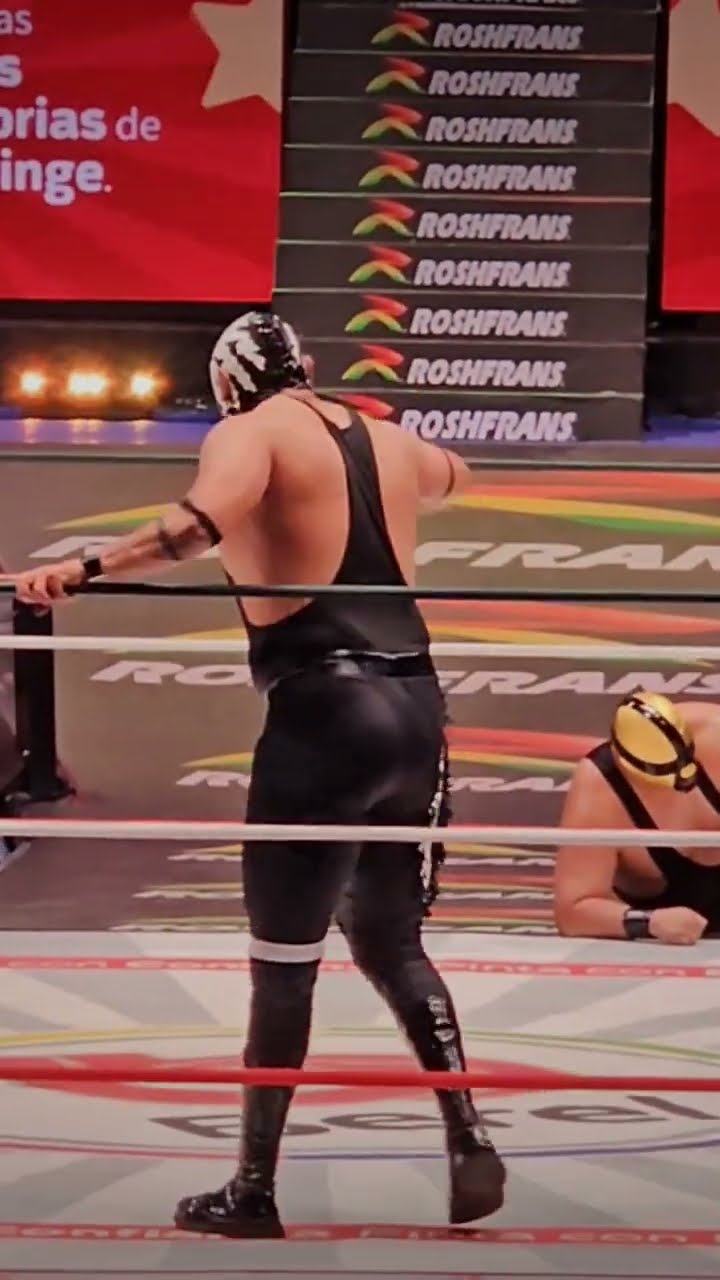 Triunfo de los Gemelos Diablo y Akuma ante Blue Panther Jr, Dark Panther y el Hijo de Blue Panther