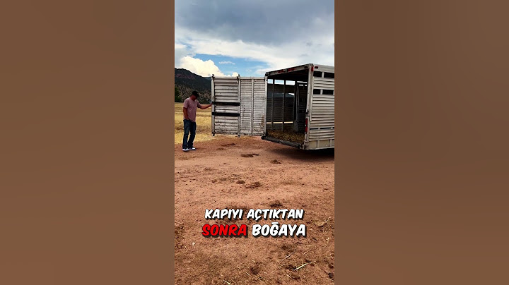 🐂 Dünyanın En Büyük Boynuzları 😱😮‍💨🤔