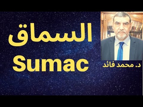 الدكتور محمد فائد السماق