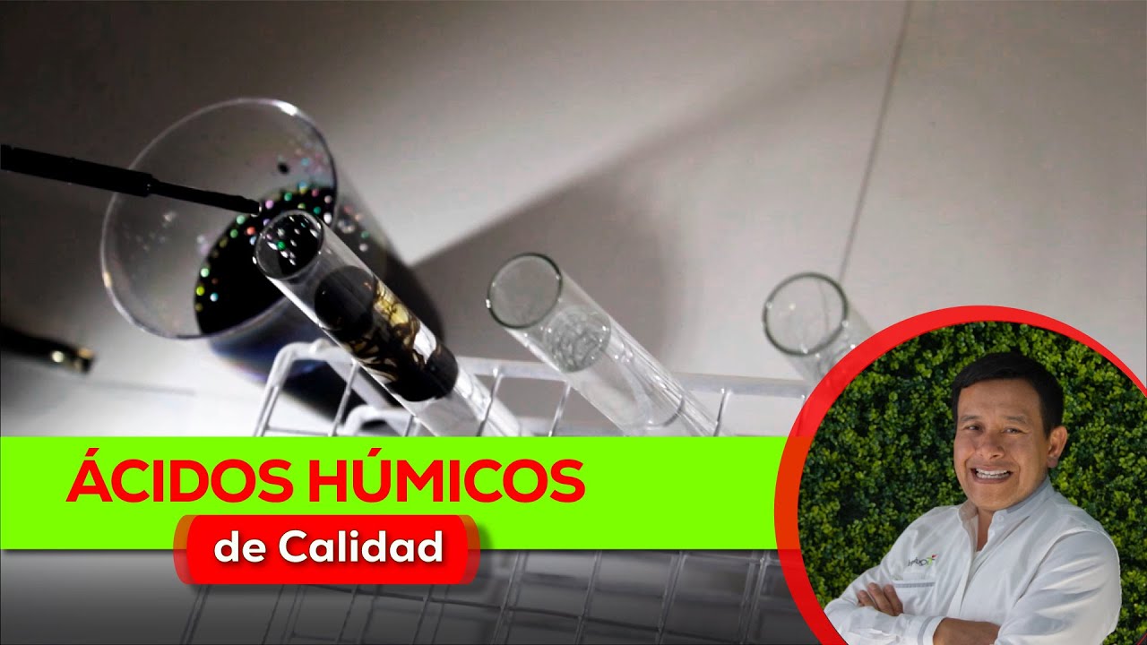 ¿Cómo reconocer un Ácido Húmico de Calidad?