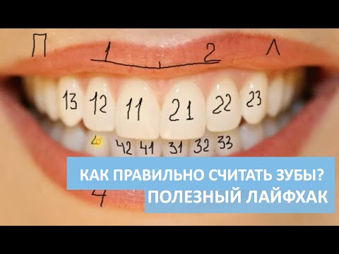 Video: Стоматолог болуу үчүн кантип окуш керек