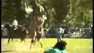 EHS . On-E-Market . Environment, Health and Safety for all . 33