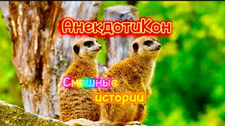 АнекдотиКон | Добрые Смешные Истории | 5 серия