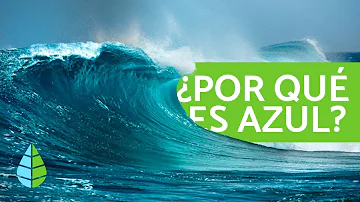 ¿Por qué el océano es azul y el agua transparente?