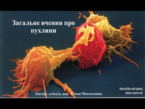 Загальні відомості про пухлини_онкопатологія 1