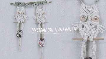 Macrame Owl Plant Hanger I Owl Wall Hanging Tutorial