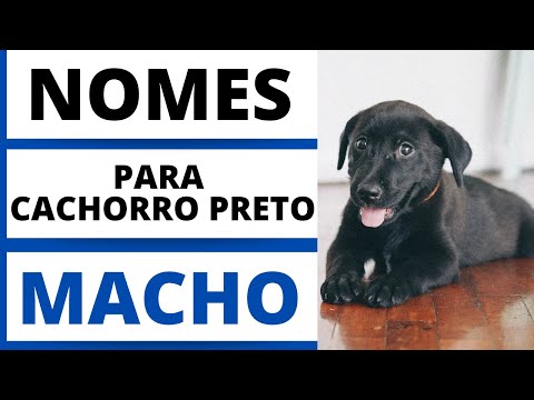 Vídeo: Nomes De Cão Preto