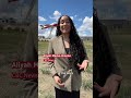 Snowbirds grounded after 2026 season until new planes arrive