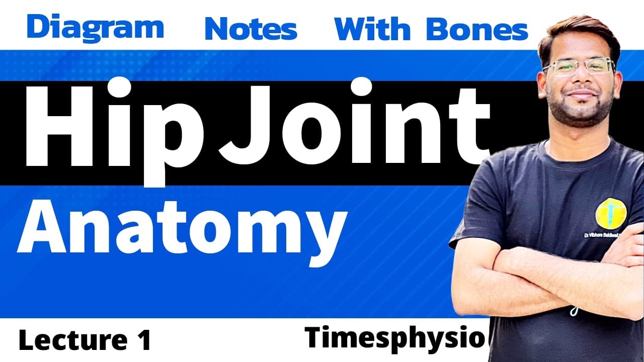 Hip Joint Anatomy - Lecture 1 I Physiotherapy ( MBBS / BPT / MPT) I By DR. Vibhore Bakliwal Sir