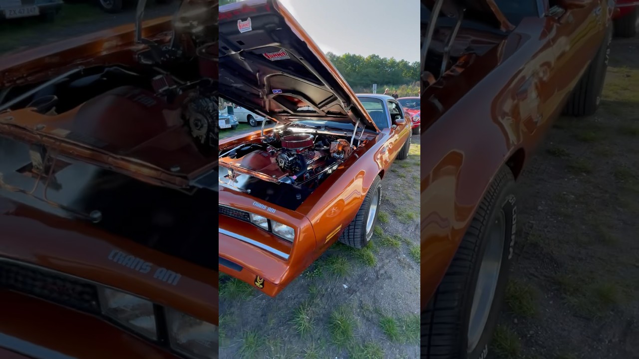 🔥 Trans Am 🔥 