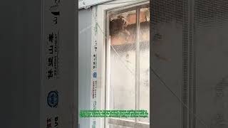Wasp Nest Safety Fail: Glass Breakthrough Disaster!​