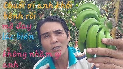 trị bệnh nổi mề đay lác đồng tiền rất là hay (@nam nguyễn)