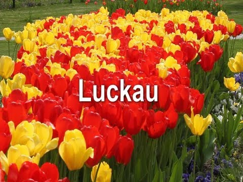 LUCKAU - Eine liebens- und lebenswerte Kleinstadt in Brandenburg