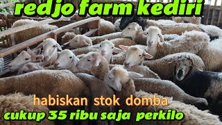 35 THOUSAND PER KILON BOLO can send Madura, Sulawesi, Kalimantan, Sumatra, Bali WA 085230985171 K...