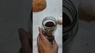 Como germinar una semilla