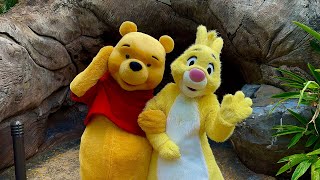 Rabbit Special Meet and Greet with Pooh at Disney’s Animal Kingdom on Earth Week 2024