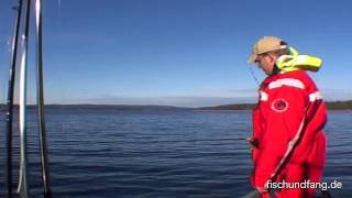 Markus Heine Christian Hoch Unterwegs Auf Binnenlachs, Barsch Und Hecht