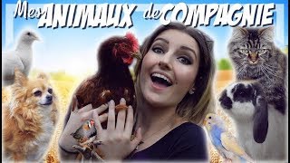 Mes animaux de compagnie !