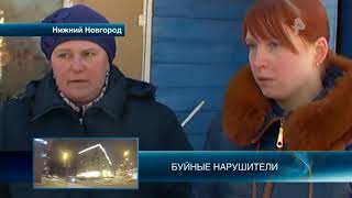 В Нижнем Новгороде зоозащитники спасли собаку, хозяйка которой морила ее голодом В Нижнем Новгороде зоозащитники спасли собаку, хозяйка которой морила ее голодом
