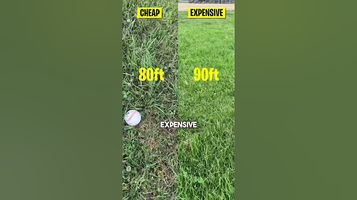Testing Cheap vs. Expensive Baseball Bats!